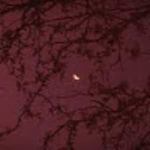 Meet your Posher, Kenya